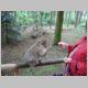 034 Montagne des Singes.jpg